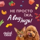 Ласощі - Сушені снеки – з індичкою, морквою і яблуком