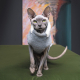 Дозвілля - Pet Fashion Светр «Cat» для кота, меланж