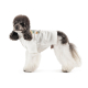 Прогулянки - Pet Fashion Ostap Вишиванка для собак