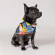 Прогулянки - Pet Fashion Бандана «Weekend» для собак, принт