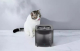 Миски - PETKIT Eversweet Solo SE Smart Pet Drinking Fountain Grey Фонтан-поїлка