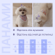 Прогулянки - Hat-Dog Панама з вельвету для собак, пудрова