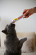 Вітаміни - GimCat Multi-Vitamin Paste Extra Мультивітамінна паста для котів