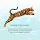 Вологий корм - Консерва Optimeal Beauty зі смугастим тунцем і креветками  у соусі для підтримки загального фізичного стану у дорослих котів