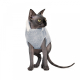 Дозвілля - Pet Fashion Светр «Cat» для кота, меланж