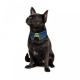Прогулянки - Pet Fashion Комірець «Bright» для собак, синій