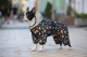 Прогулянки - Collar WAUDOG Clothes Комбінезон "Рік та Морті 2" для собак