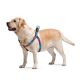 Амуніція - Collar WAUDOG Nylon Шлея "Літо" для собак з QR-паспортом, пластиковий фастекс