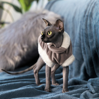Купити Pet Fashion Светр «Tom» для кота, капучіно