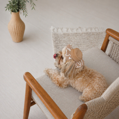 Купити Pet Fashion Print Панама для собак