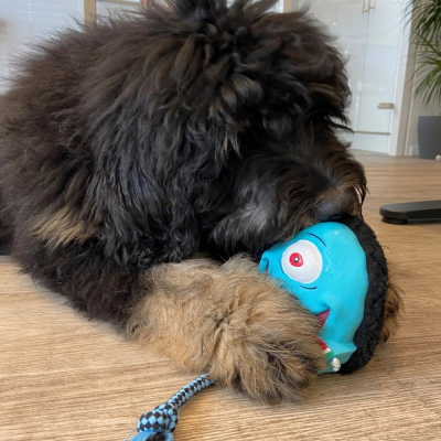 Купити Max & Molly Urban Pets Snuggles Toy Bubba King Іграшка для собак