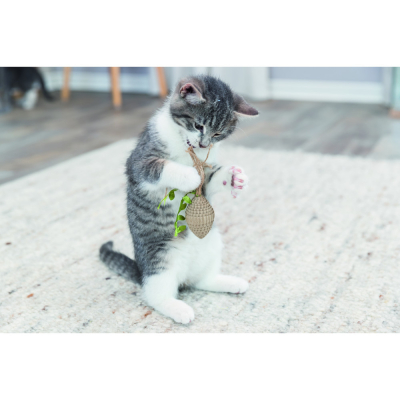 Купити Trixie Іграшка Конус картонний для котів
