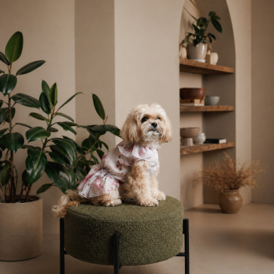 Купити Pet Fashion Amelia Сукня для собак
