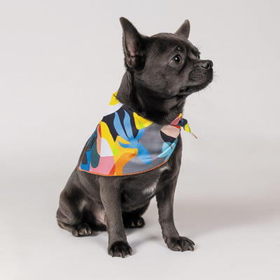 Купити Pet Fashion Бандана «Weekend» для собак, принт