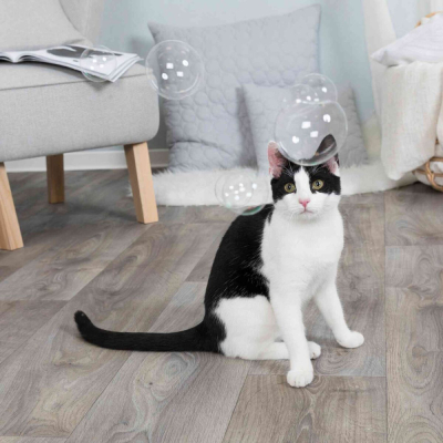 Купити Trixie Мильні бульбашки для котів, з котячою м'ятою