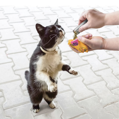 Купити KONG Refillables Catnip Tube Змінні блоки котячої м'яти