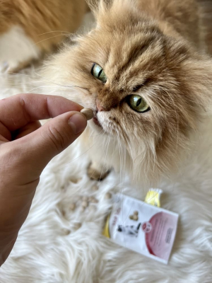 Купити GimCat Every Day Malt Tabs Вітаміни для котів