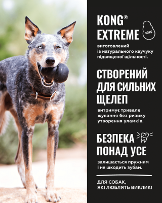 Купити KONG Extreme Іграшка кільце для собак