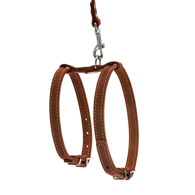 Купити Collar Шлея з повідцем для собак, коричнева
