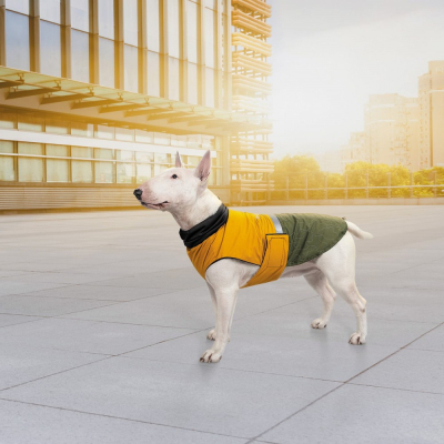 Купити Pet Fashion Попона «Roy» для собак, хакі-гірчиця
