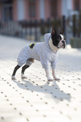 Купити Collar WAUDOG Clothes Комбінезон "Бетмен Лого" для собак
