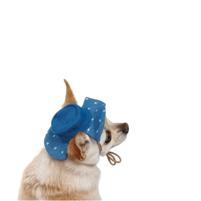 Купити Pet Fashion Stars Панама для собак