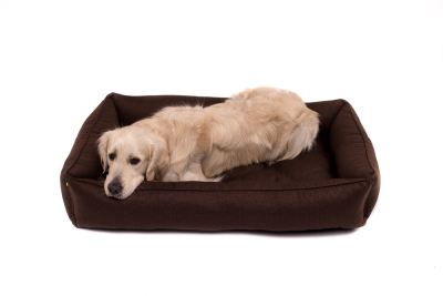 Купити Harley and Cho Sofa Brown Лежак для собак