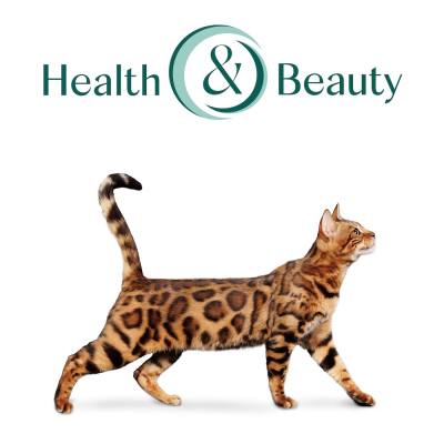 Вологий корм - Вологий корм Optimeal з фореллю в кремовому соусі для дорослих котів