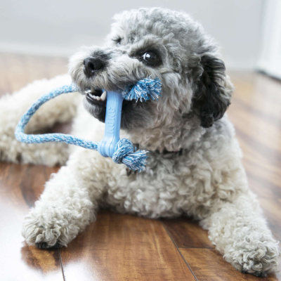 Купити KONG Puppy Goodie Bone with Rope Кістка з мотузкою для цуценят мініатюрних порід