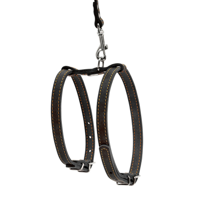 Купити Collar Шлея з повідцем для собак, чорна