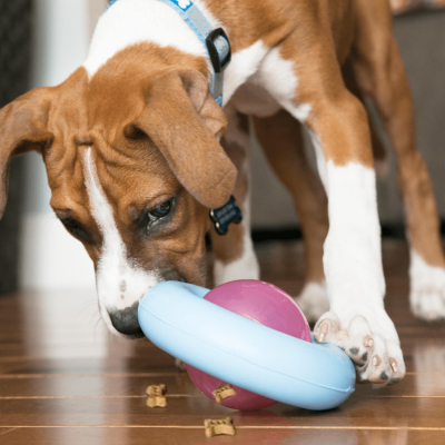 Купити KONG Puppy Gyro Іграшка для цуценят дрібних порід