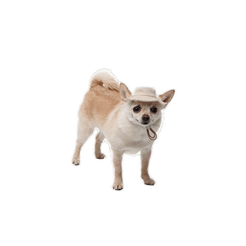 Прогулянки - Pet Fashion Gold Панама для собак