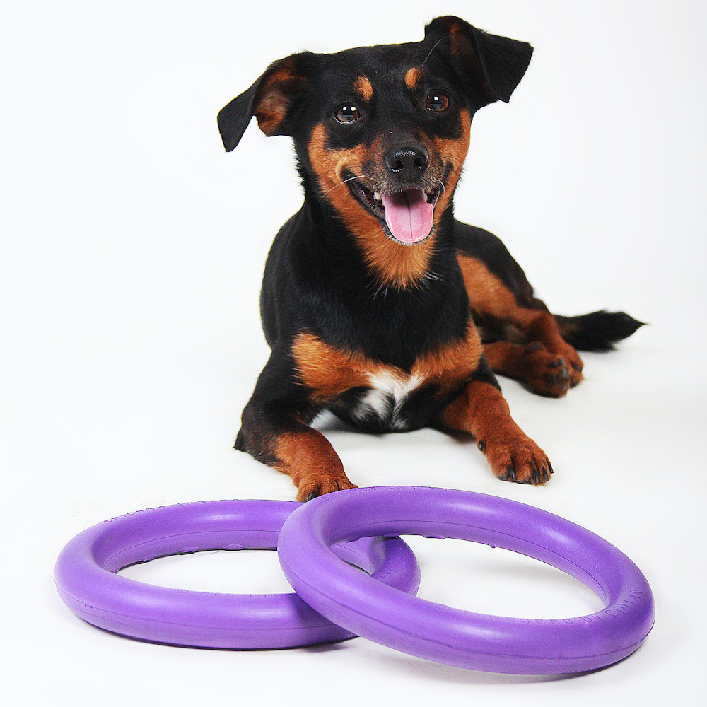 Іграшки - Collar Puller Mini Тренувальний снаряд для дрібних порід собак