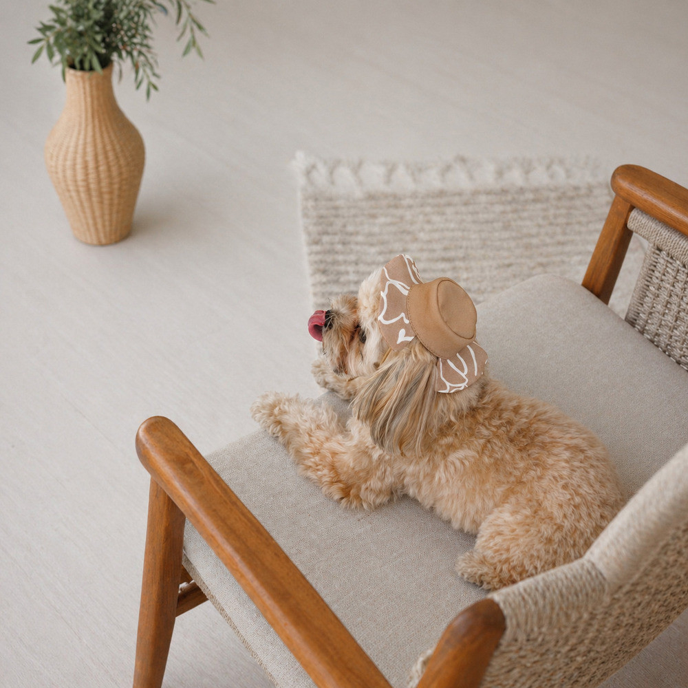 Прогулянки - Pet Fashion Print Панама для собак