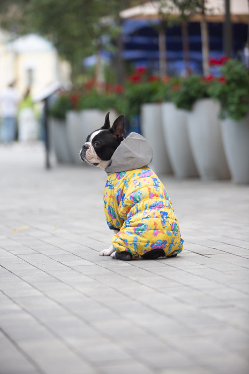 Прогулянки - Collar WAUDOG Clothes Комбінезон "Рік та Морті 3" для собак