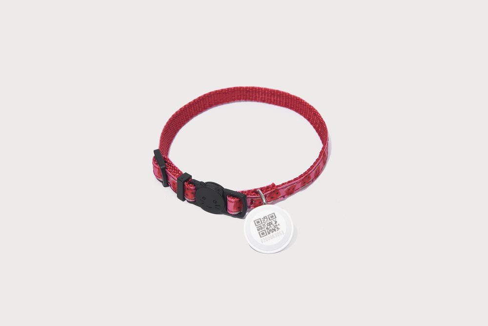 Миски - CATLINK Automatic Feeder-FRESH 2 Автоматична годівниця для котів