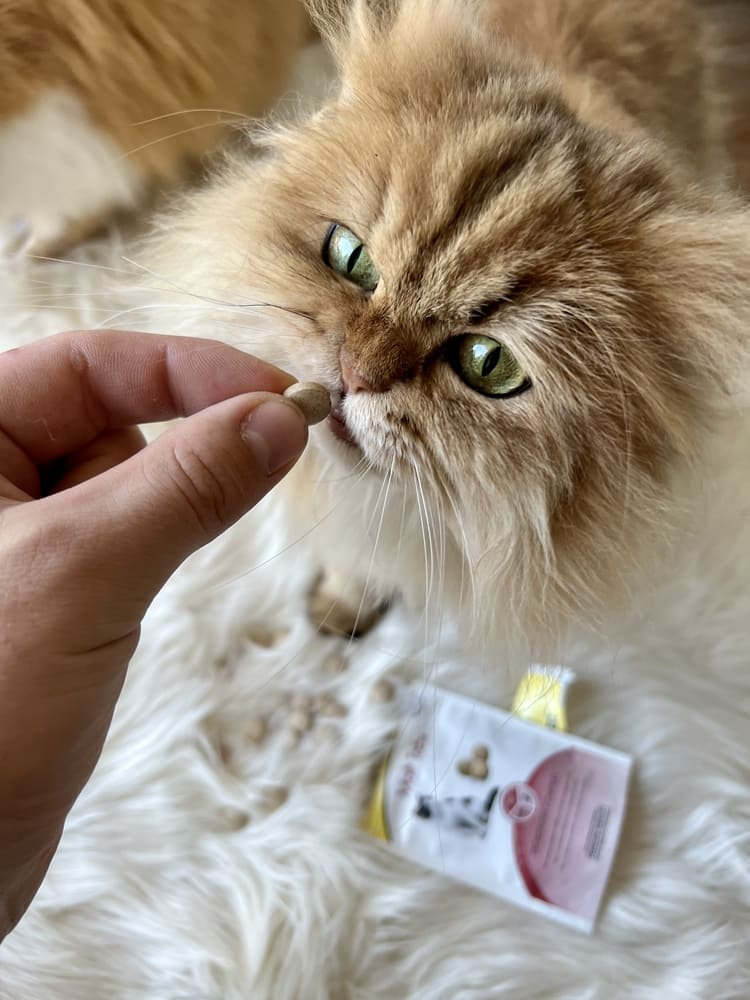 Вітаміни - GimCat Every Day Malt Tabs Вітаміни для котів
