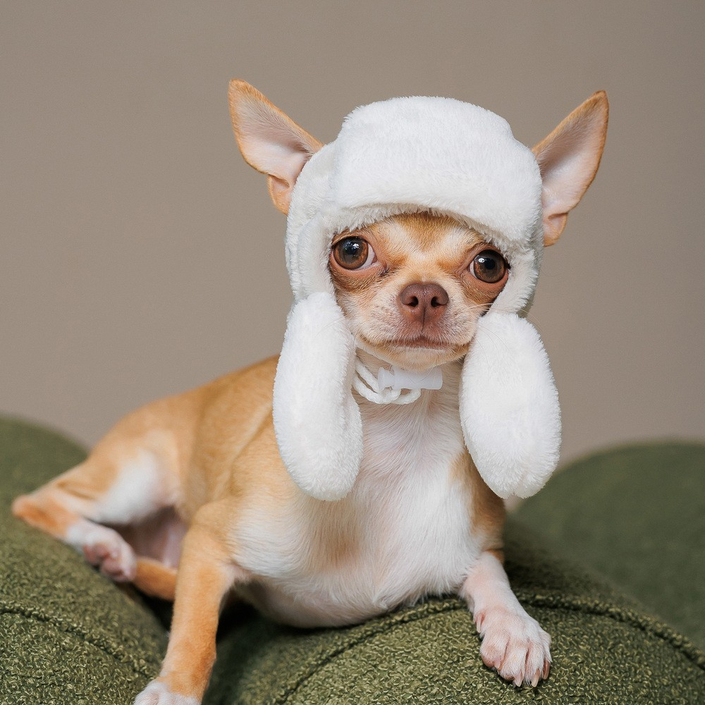 Прогулянки - Pet Fashion Bubo Шапка для собак, сіра