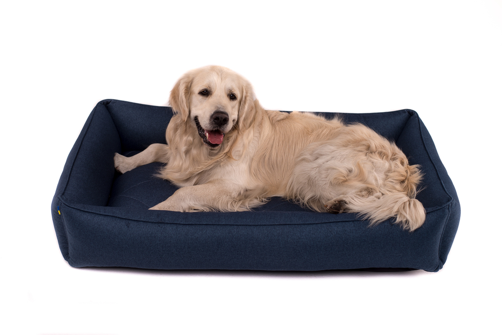 Лежанки - Harley and Cho Sofa Denim Лежак для собак