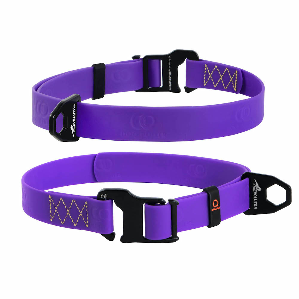 Амуніція - Collar Evolutor Нашийник для собак для собак, фіолетовий