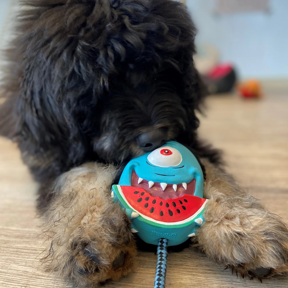 Іграшки - Max & Molly Urban Pets Snuggles Toy Bubba King Іграшка для собак