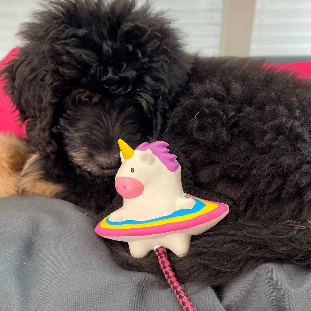 Іграшки - Max & Molly Urban Pets Snuggles Toy Magic Mikey Іграшка для собак