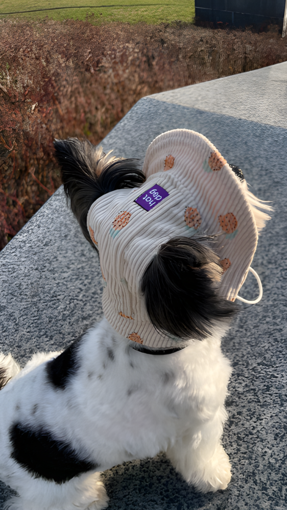 Прогулянки - Hat-Dog Панама з вельвету для собак, ананаси