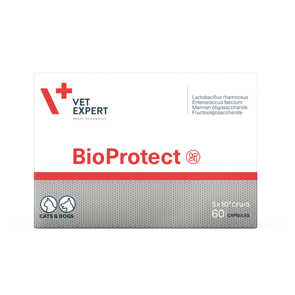 Вітаміни - VetExpert BioProtect Харчова добавка для котів і собак із порушеною шлунково-кишковою мікрофлорою