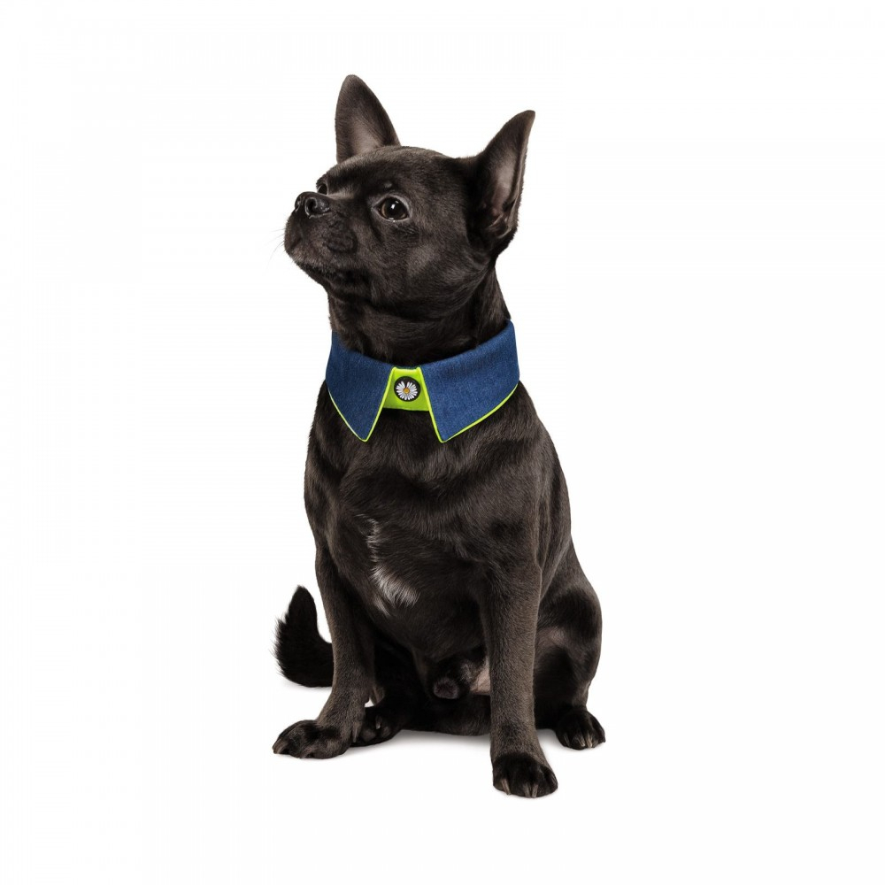 Прогулянки - Pet Fashion Комірець «Bright» для собак, синій