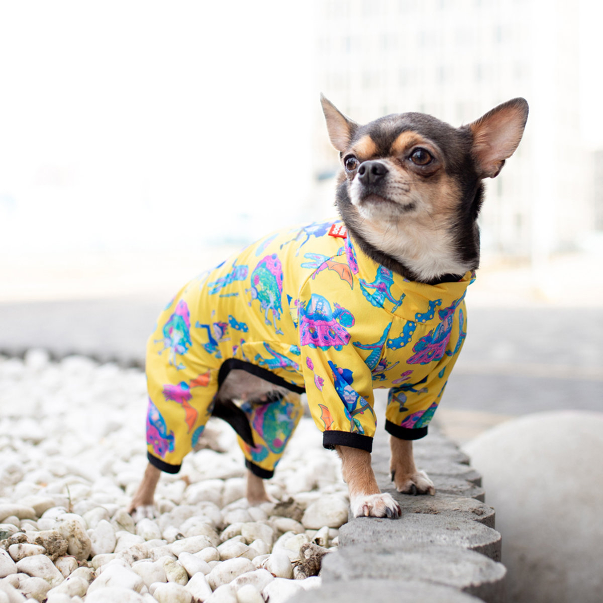 Прогулянки - Collar Waudog Clothes Дощовик "Рік та Морті 3" для собак