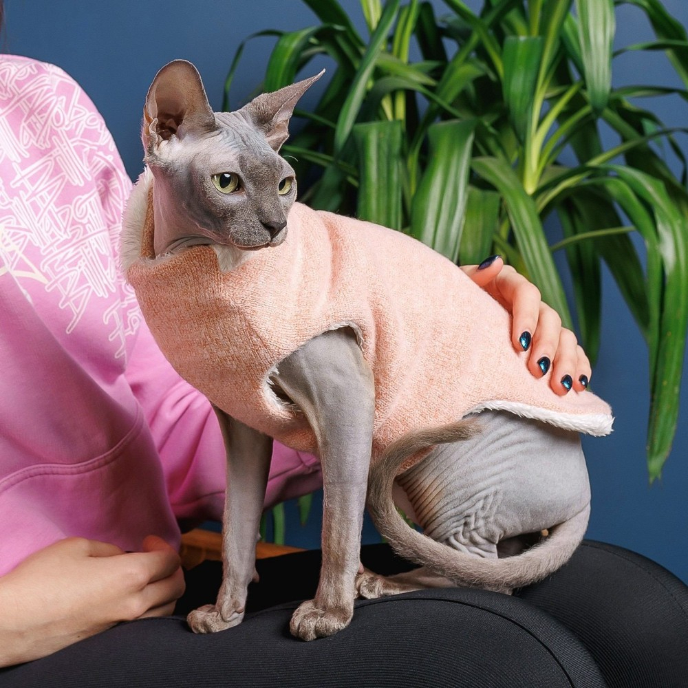 Дозвілля - Pet Fashion Светр «Cat» для кота, персик