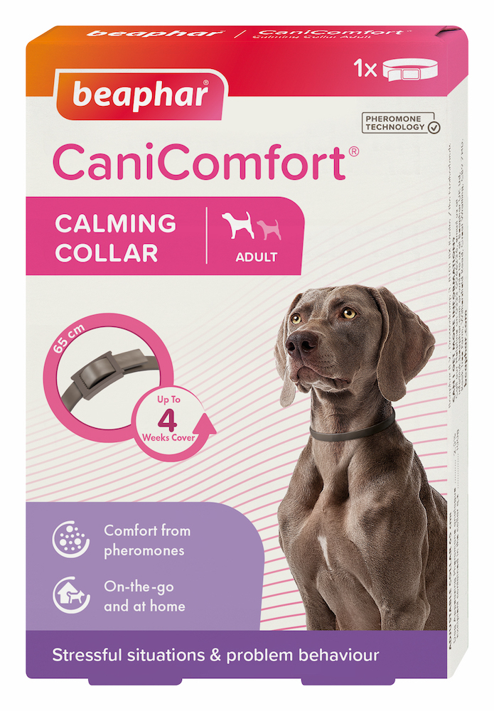 Шампуні та засоби для догляду - Beaphar CaniComfort Calming Collar Заспокійливий нашийник з феромонами для собак