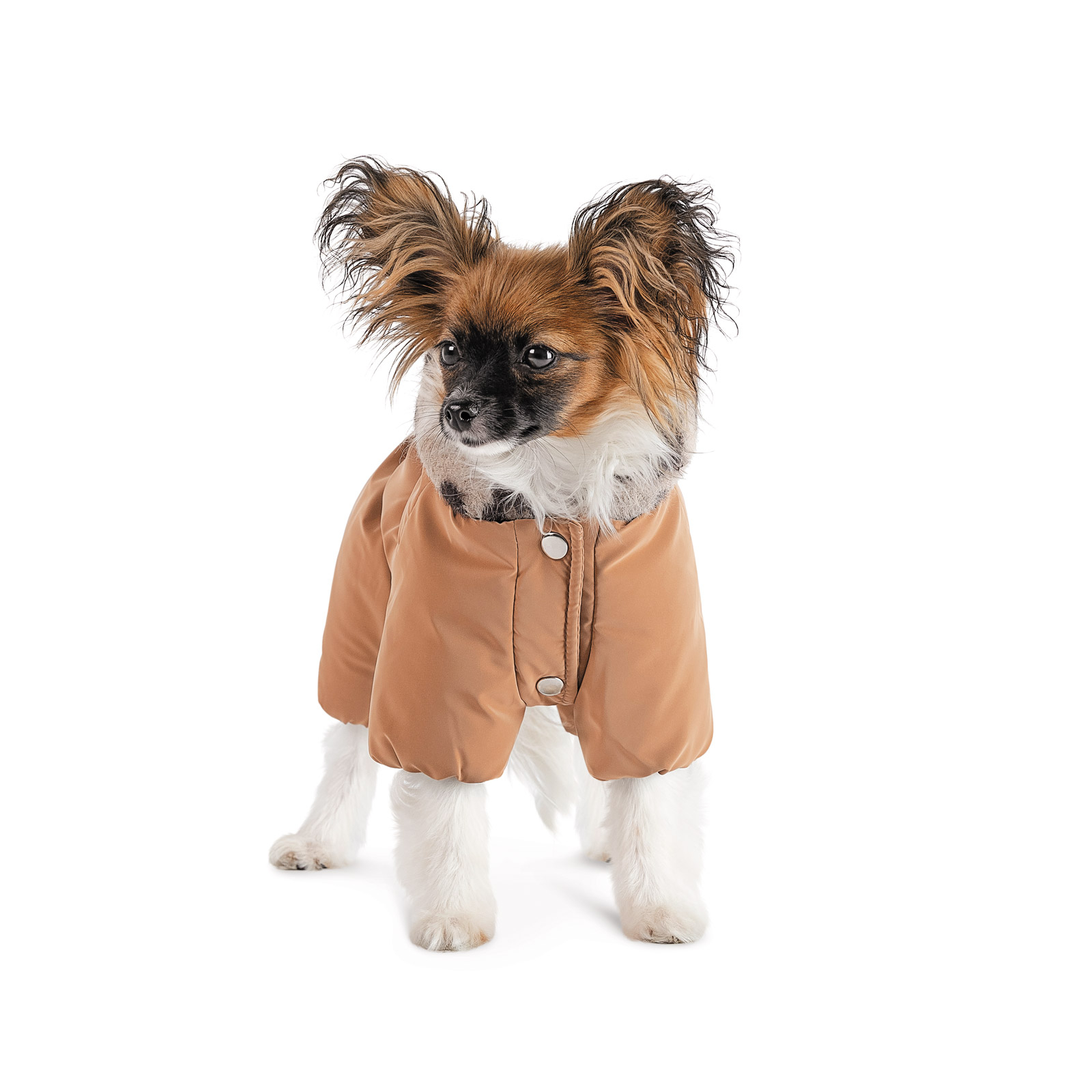 Прогулянки - Pet Fashion Melisa Комбінезон для собак, карамель