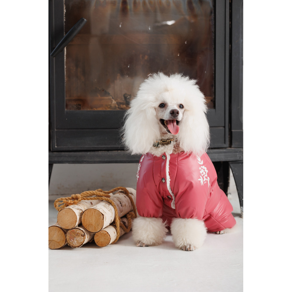 Прогулянки - Pet Fashion Cherry Комбінезон для собак-дівчаток